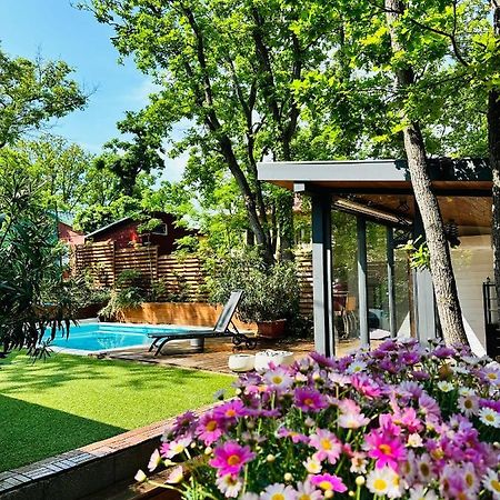 Pine-Wood Resort Balatonalmádi Exterior photo