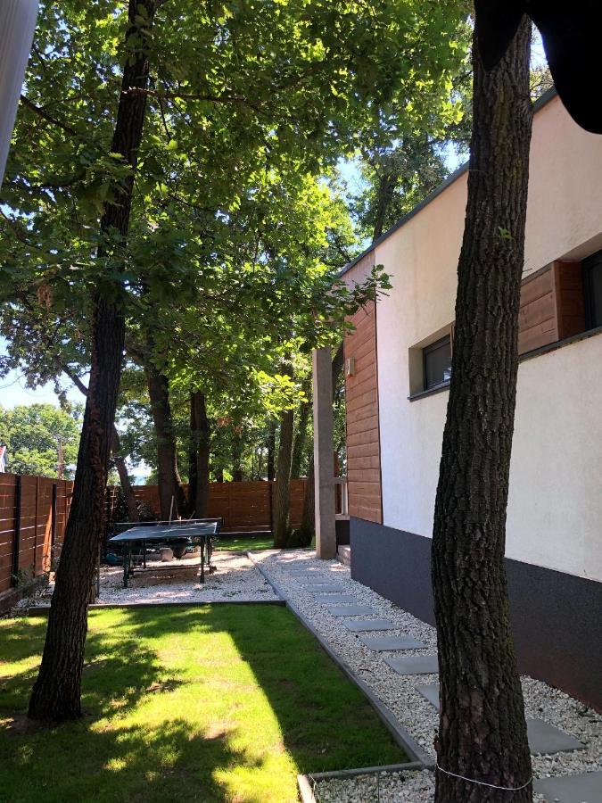 Pine-Wood Resort Balatonalmádi Exterior photo